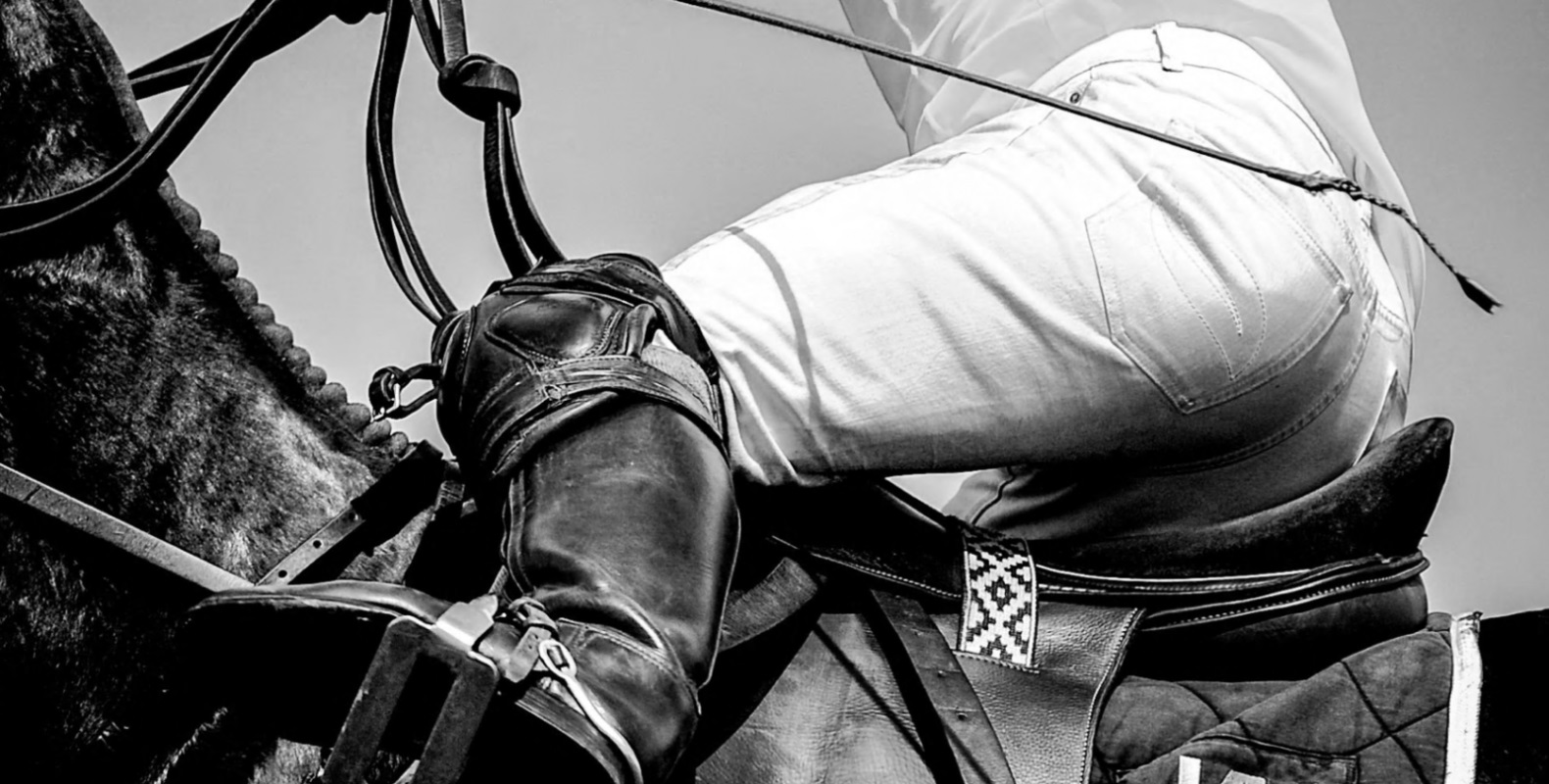 Cowdray Park Polo