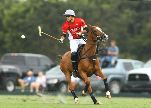 the polo magazine polo photos alex pacheco audi polo team lechuza polo team ipc polo club 5