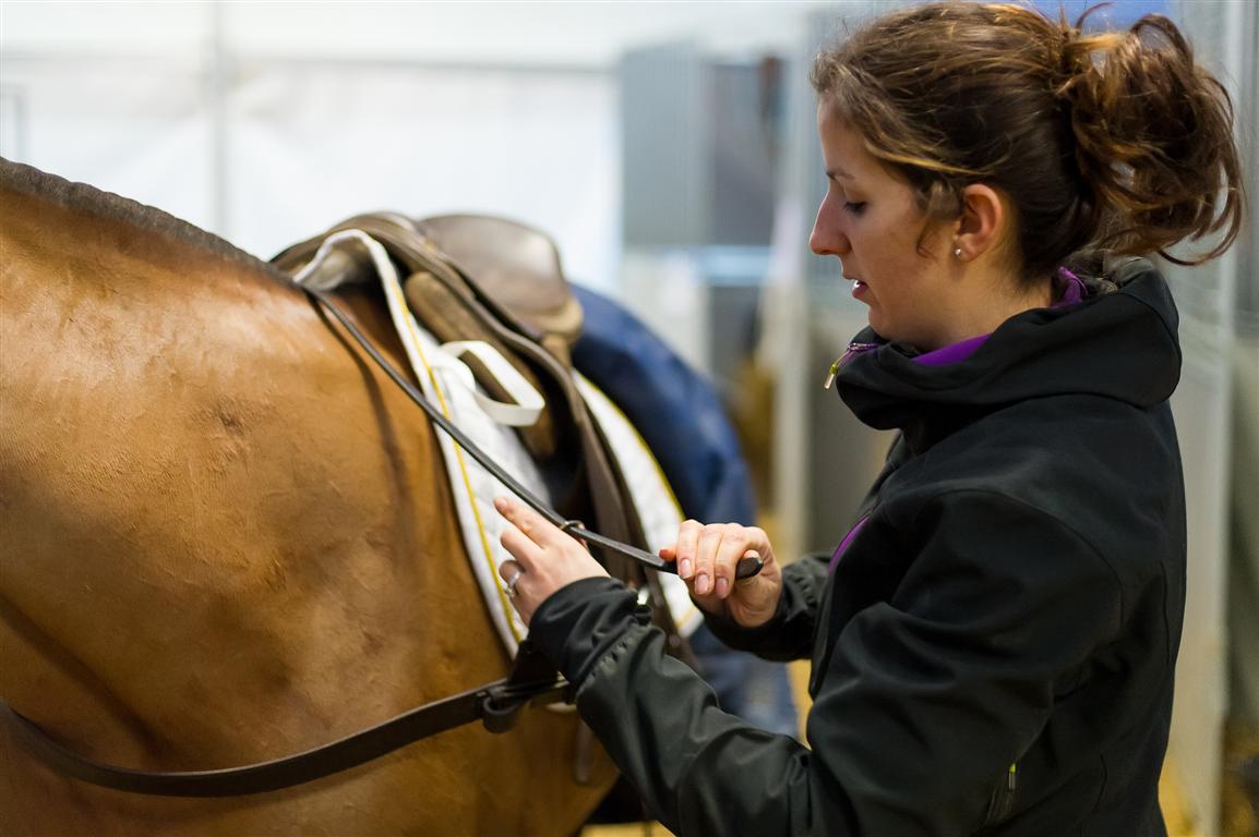  DSC6721-Modifier---andyparant.com