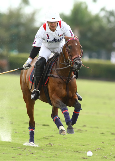 photosorchardhillvs lechuza polo magazine alex pacheco 1