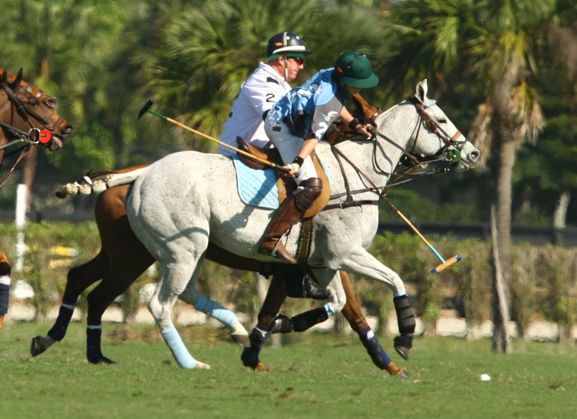 gossecreekpoloteamhawkhillpoloteampolomagazinepachecophotosgcpoloclub 8