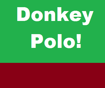 donkeypolo