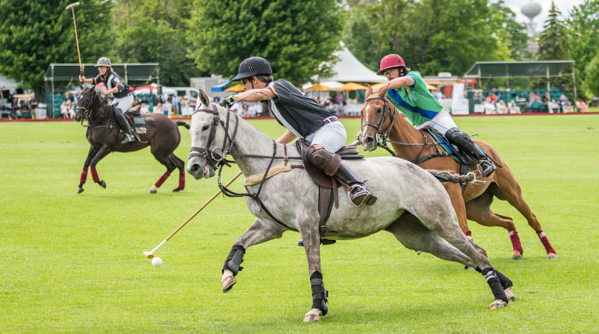 OAK BROOK CLOSES HISTORIC 2017 POLO SEASON