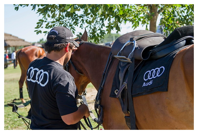 Pilara International Polo Tournament, La Espadaña Audi Autovisiones polo team