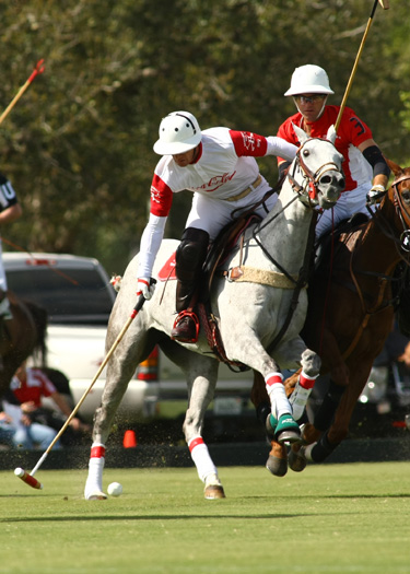 audi polo team coca polo team int polo club polo magazine alex pacheco photos 4