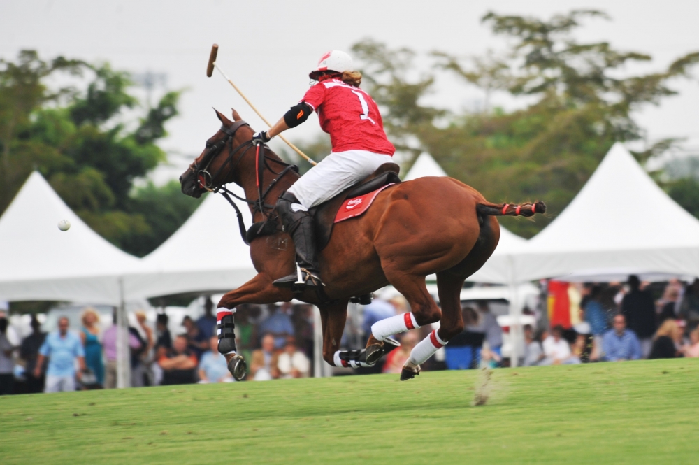 polo 1000x665.32393420611  4 polomagazine.jpg