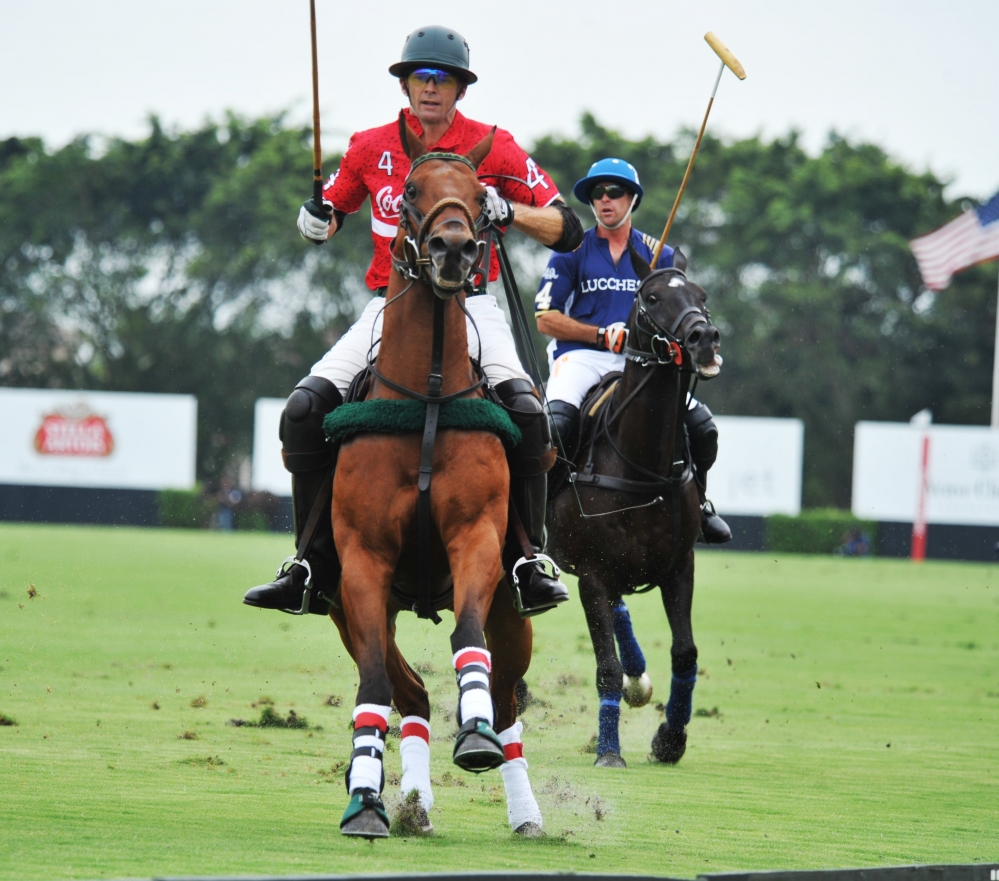 polo 1000x881.93548387097  3 polomagazine.jpg